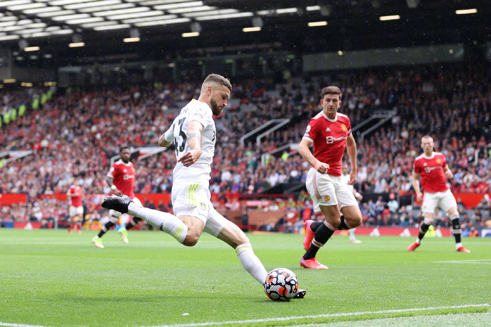 特点十分相 特点十分相